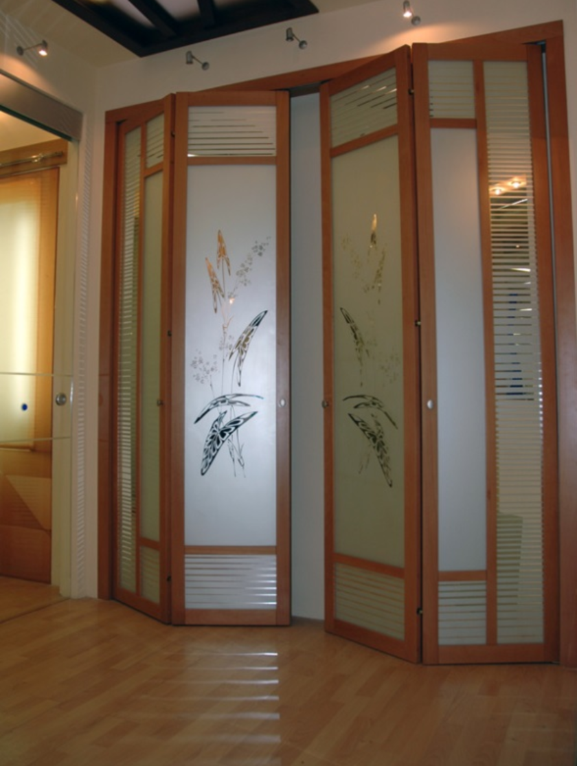 Широкие двери гармошка с матовым стеклом и рисунком Орёл